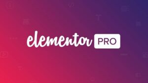 elementor pro